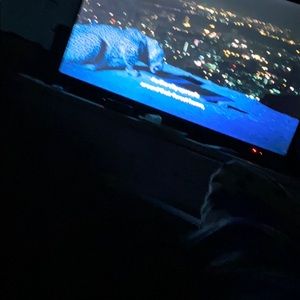 Meet your Posher, Jamilee